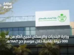 وزارة البلديات والإسكان تُجري أكثر من 38 000 جولة رقابية خلال موسم حج 1447هـ