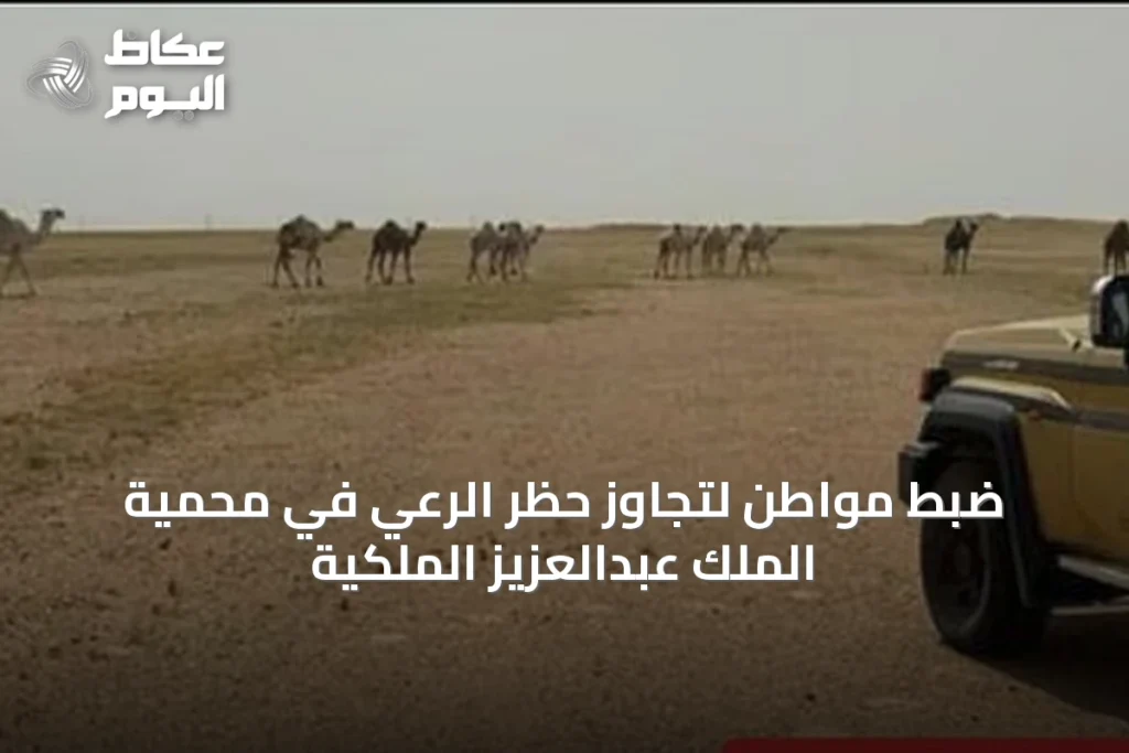 ضبط مواطن لتجاوز حظر الرعي في محمية الملك عبدالعزيز الملكية