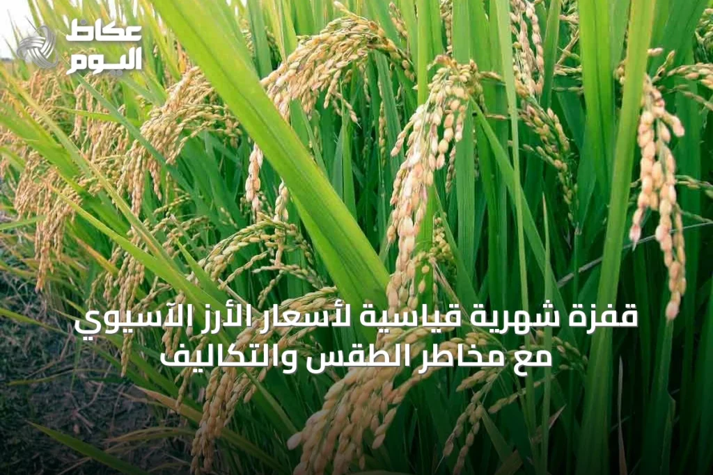 قفزة شهرية قياسية لأسعار الأرز الآسيوي مع مخاطر الطقس والتكاليف