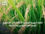 قفزة شهرية قياسية لأسعار الأرز الآسيوي مع مخاطر الطقس والتكاليف