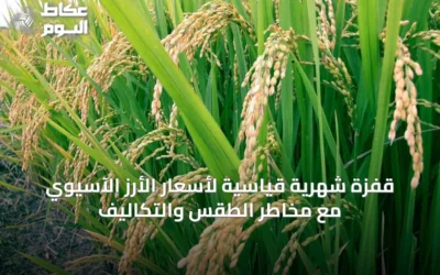قفزة شهرية قياسية لأسعار الأرز الآسيوي مع مخاطر الطقس والتكاليف