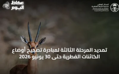 تمديد المرحلة الثالثة لمبادرة تصحيح أوضاع الكائنات الفطرية حتى 30 يونيو 2026