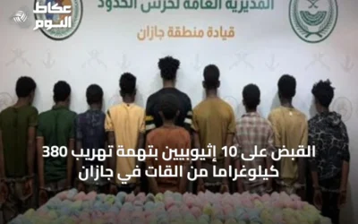 القبض على 10 إثيوبيين بتهمة تهريب 380 كيلوغراماً من القات في جازان