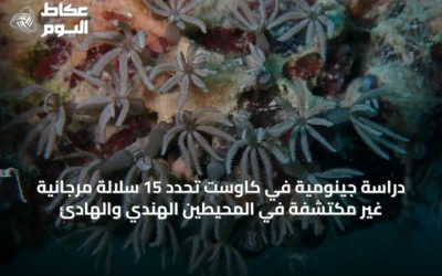 دراسة جينومية في كاوست تحدد 15 سلالة مرجانية غير مكتشفة في المحيطين الهندي والهادئ