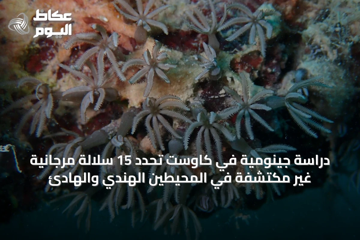 دراسة جينومية في كاوست تحدد 15 سلالة مرجانية غير مكتشفة في المحيطين الهندي والهادئ