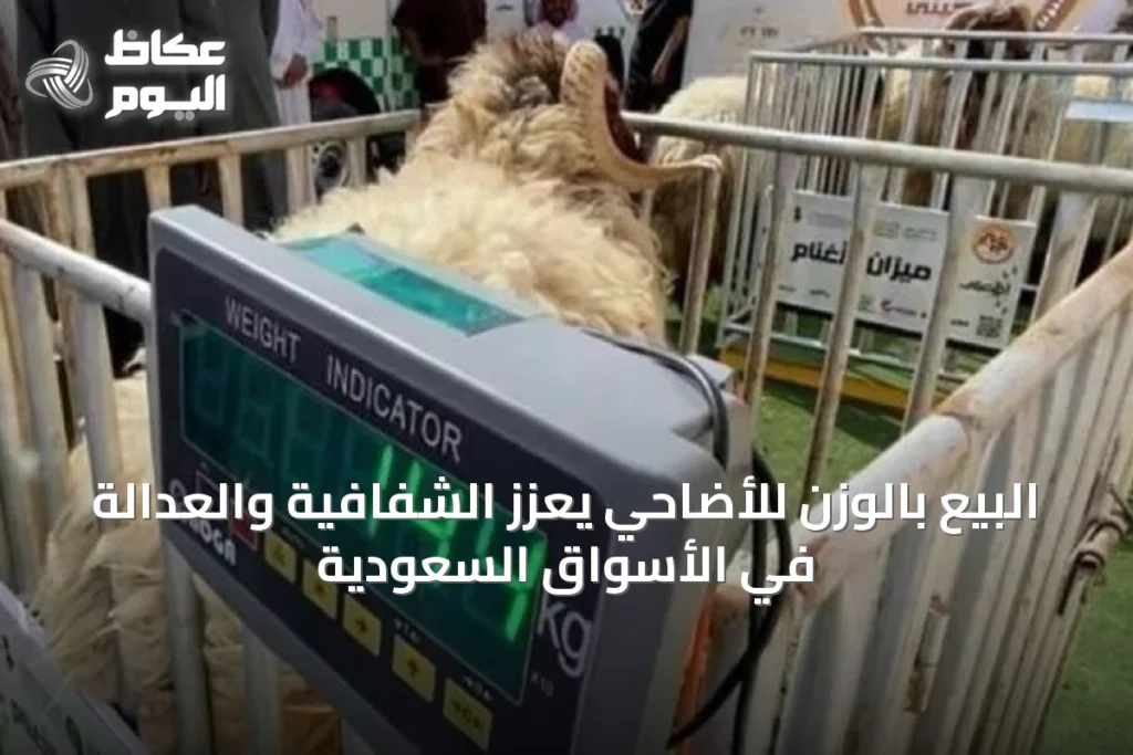 البيع بالوزن للأضاحي يعزز الشفافية والعدالة في الأسواق السعودية