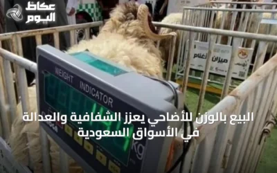 البيع بالوزن للأضاحي يعزز الشفافية والعدالة في الأسواق السعودية