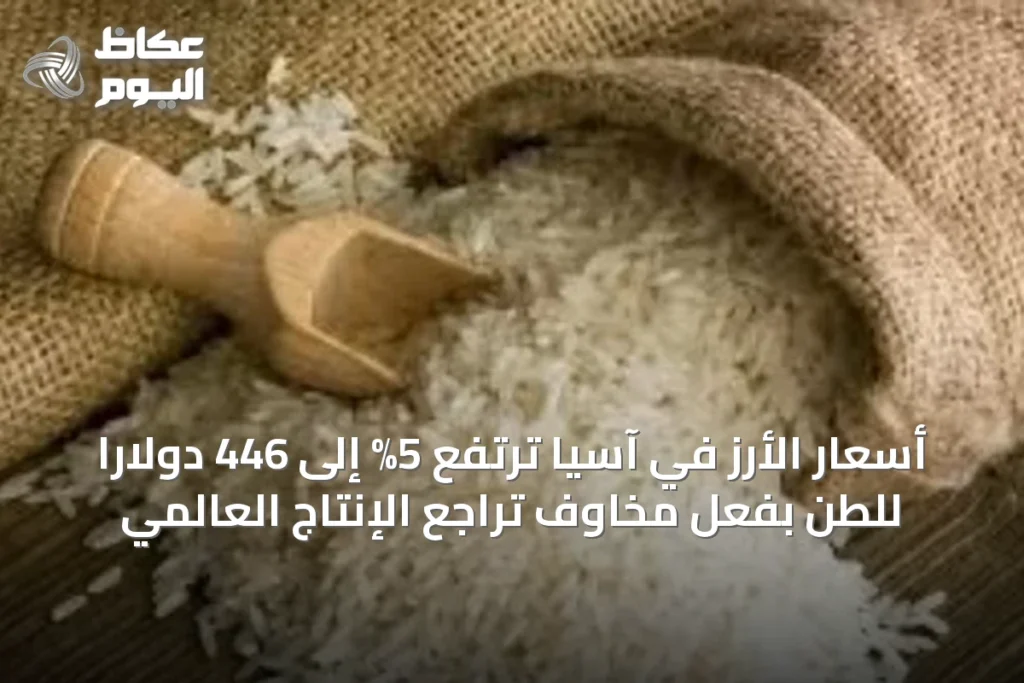 أسعار الأرز في آسيا ترتفع 5% إلى 446 دولاراً للطن بفعل مخاوف تراجع الإنتاج العالمي