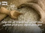 أسعار الأرز في آسيا ترتفع 5% إلى 446 دولاراً للطن بفعل مخاوف تراجع الإنتاج العالمي