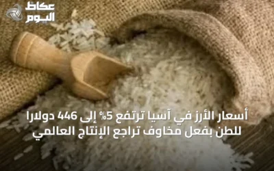 أسعار الأرز في آسيا ترتفع 5% إلى 446 دولاراً للطن بفعل مخاوف تراجع الإنتاج العالمي