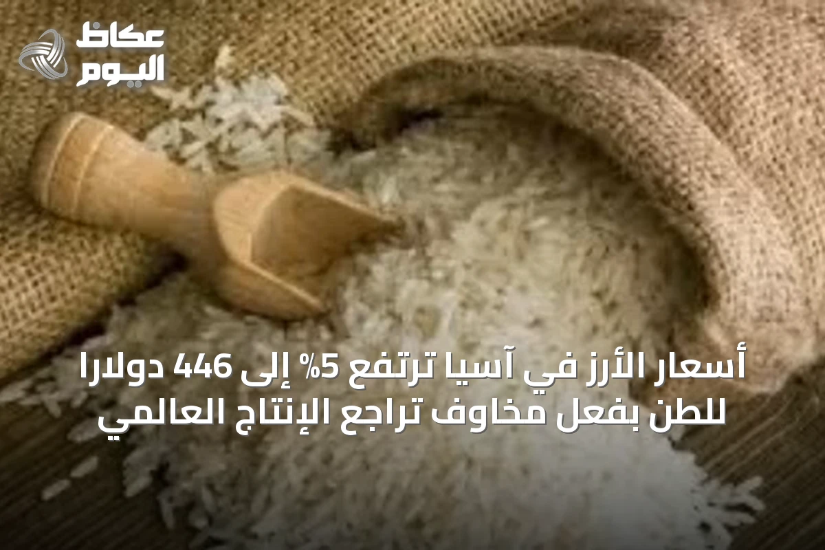 أسعار الأرز في آسيا ترتفع 5% إلى 446 دولاراً للطن بفعل مخاوف تراجع الإنتاج العالمي