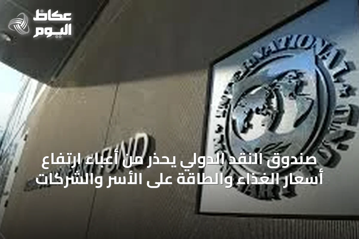 صندوق النقد الدولي يحذر من أعباء ارتفاع أسعار الغذاء والطاقة على الأسر والشركات