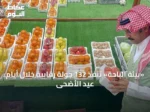 «بيئة الباحة» تنفذ 132 جولة رقابية خلال أيام عيد الأضحى