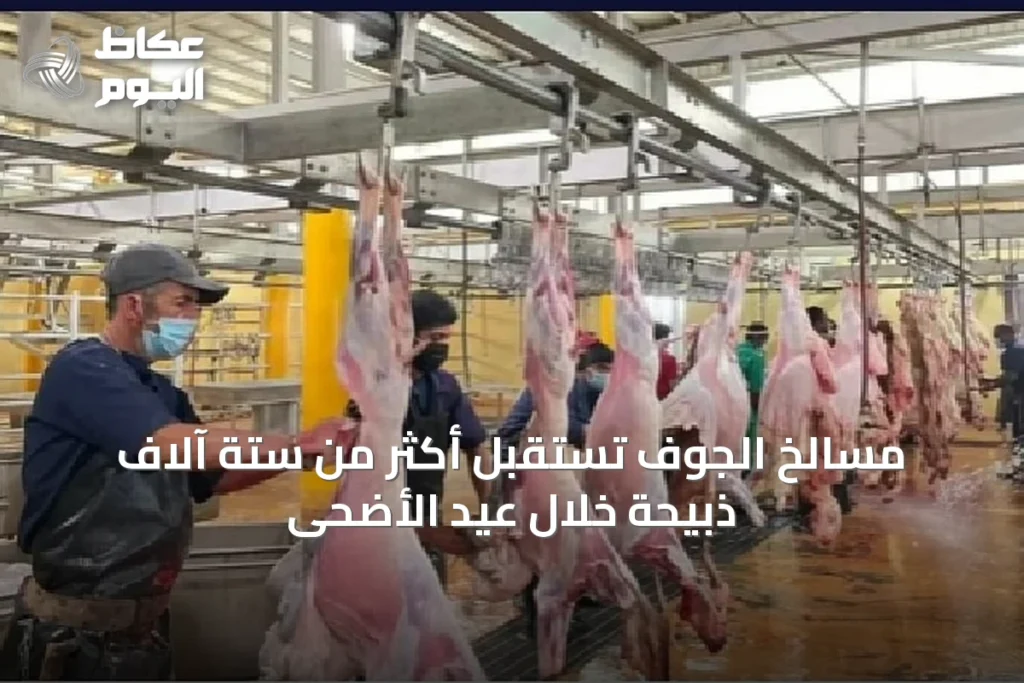 مسالخ الجوف تستقبل أكثر من ستة آلاف ذبيحة خلال عيد الأضحى