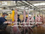 مسالخ الجوف تستقبل أكثر من ستة آلاف ذبيحة خلال عيد الأضحى