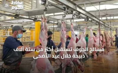 مسالخ الجوف تستقبل أكثر من ستة آلاف ذبيحة خلال عيد الأضحى