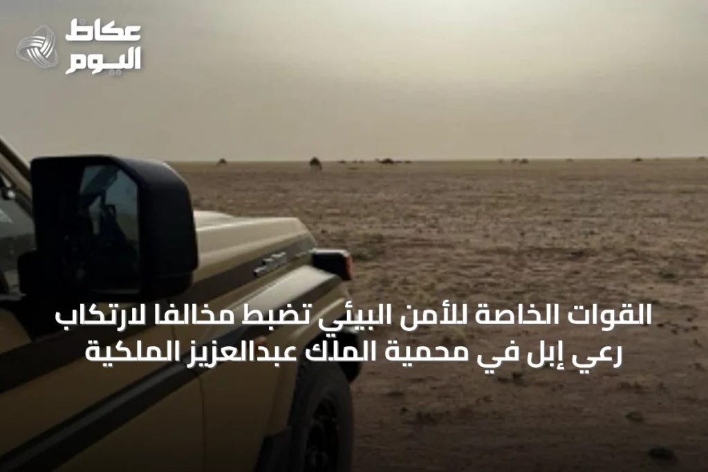 القوات الخاصة للأمن البيئي تضبط مخالفاً لارتكاب رعي إبل في محمية الملك عبدالعزيز الملكية