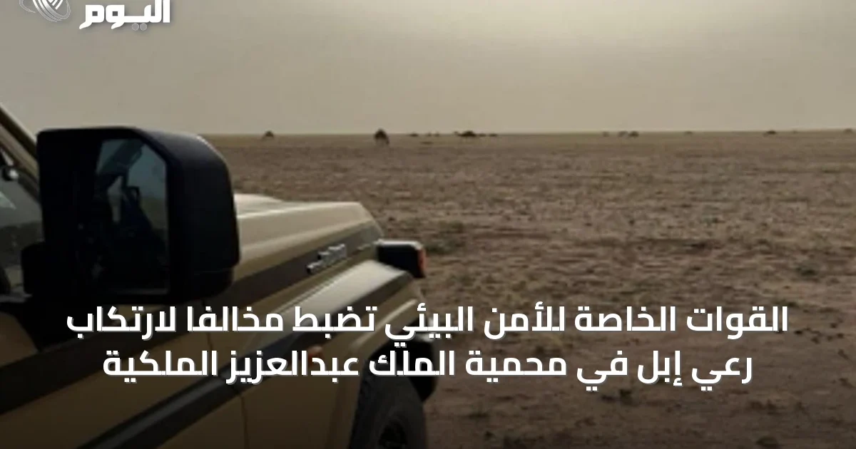القوات الخاصة للأمن البيئي تضبط مخالفاً لارتكاب رعي إبل في محمية الملك عبدالعزيز الملكية