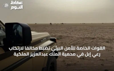 القوات الخاصة للأمن البيئي تضبط مخالفاً لارتكاب رعي إبل في محمية الملك عبدالعزيز الملكية