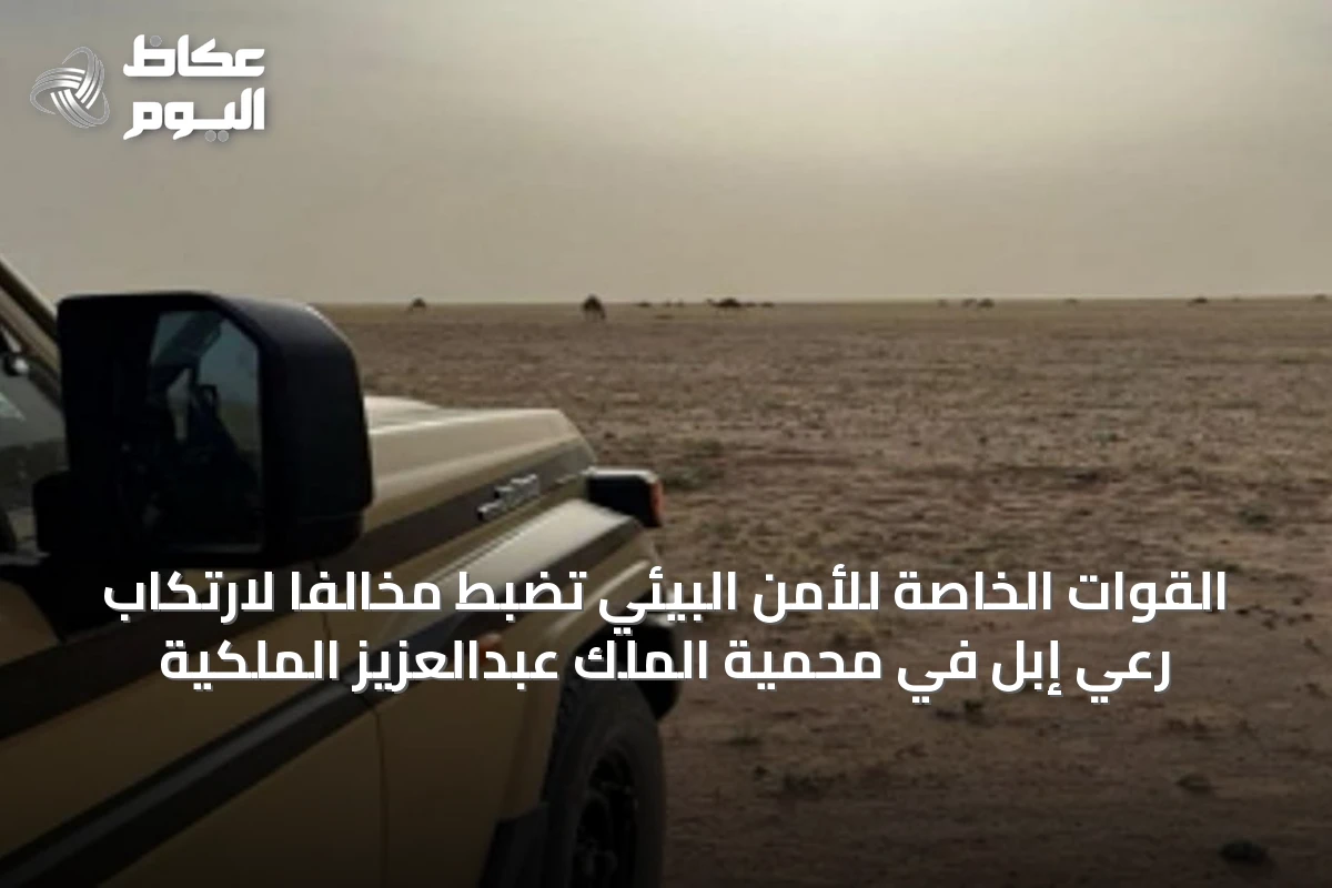 القوات الخاصة للأمن البيئي تضبط مخالفاً لارتكاب رعي إبل في محمية الملك عبدالعزيز الملكية