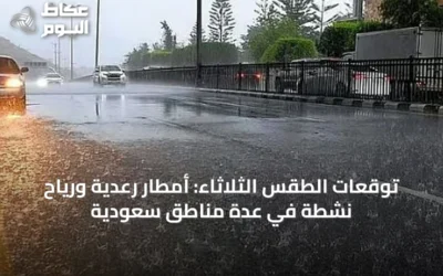توقعات الطقس الثلاثاء: أمطار رعدية ورياح نشطة في عدة مناطق سعودية
