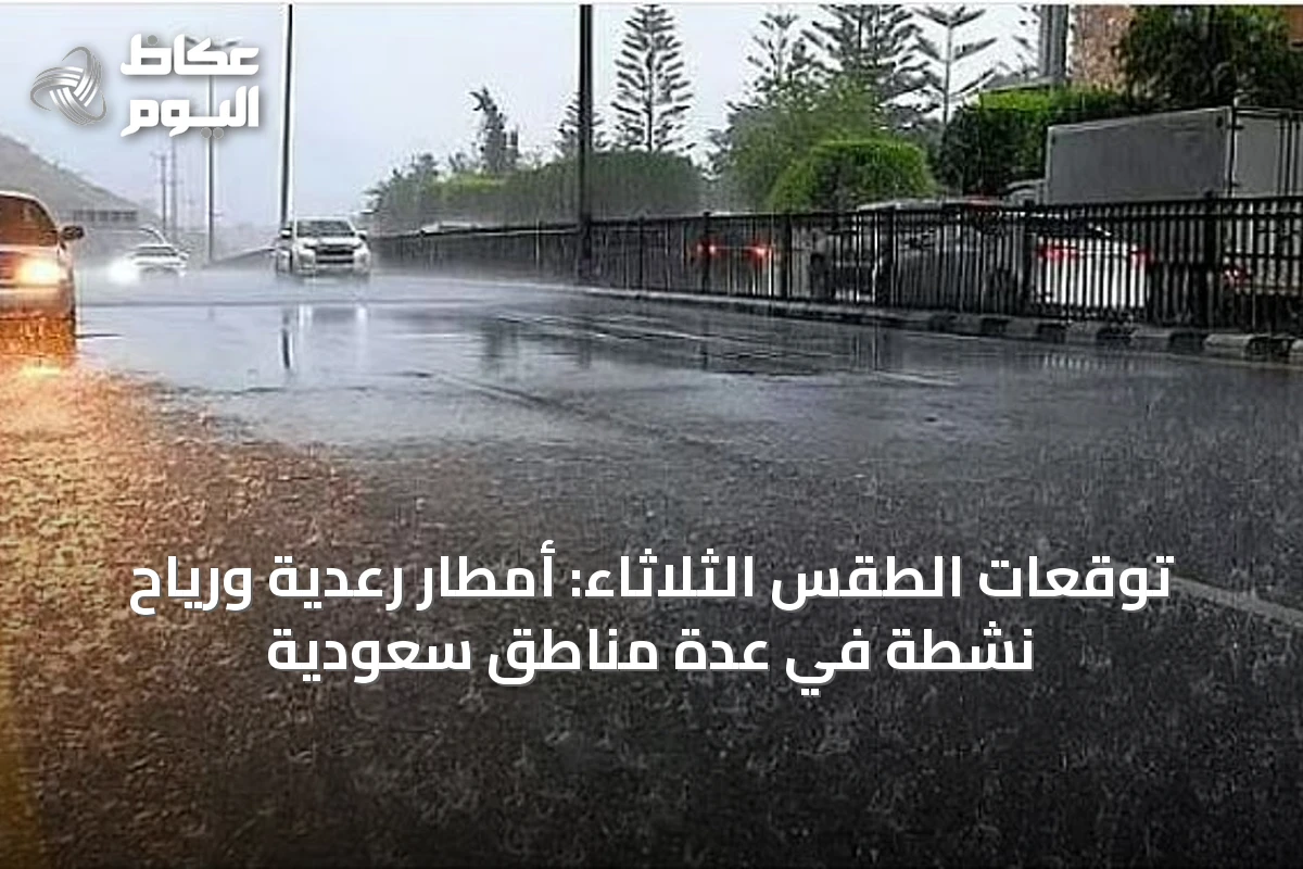 توقعات الطقس الثلاثاء: أمطار رعدية ورياح نشطة في عدة مناطق سعودية