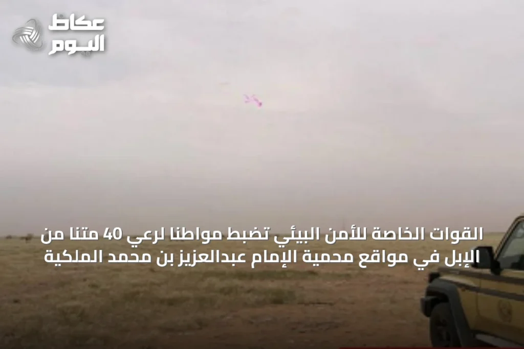 القوات الخاصة للأمن البيئي تضبط مواطناً لرعي 40 متناً من الإبل في مواقع محمية الإمام عبدالعزيز بن محمد الملكية