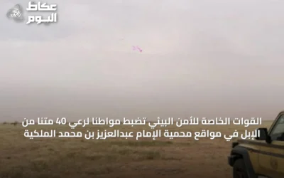 القوات الخاصة للأمن البيئي تضبط مواطناً لرعي 40 متناً من الإبل في مواقع محمية الإمام عبدالعزيز بن محمد الملكية