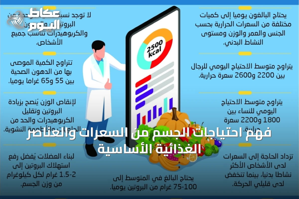 فهم احتياجات الجسم من السعرات والعناصر الغذائية الأساسية
