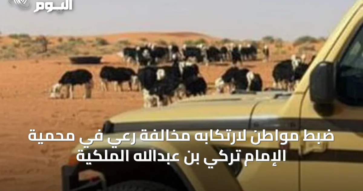 ضبط مواطن لارتكابه مخالفة رعي في محمية الإمام تركي بن عبدالله الملكية