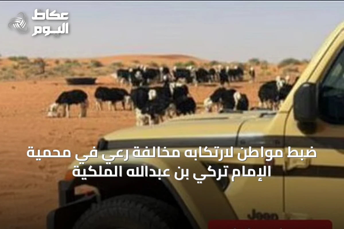 ضبط مواطن لارتكابه مخالفة رعي في محمية الإمام تركي بن عبدالله الملكية