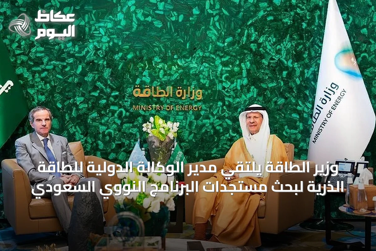 وزير الطاقة يلتقي مدير الوكالة الدولية للطاقة الذرية لبحث مستجدات البرنامج النووي السعودي