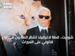 شوبيت.. قطة لاغرفيلد تنتظر الملايين في نزاع قانوني على الميراث