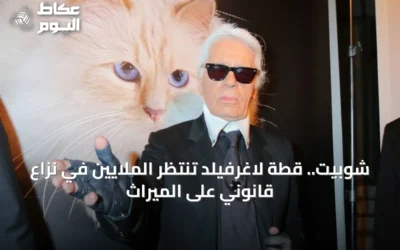 شوبيت.. قطة لاغرفيلد تنتظر الملايين في نزاع قانوني على الميراث