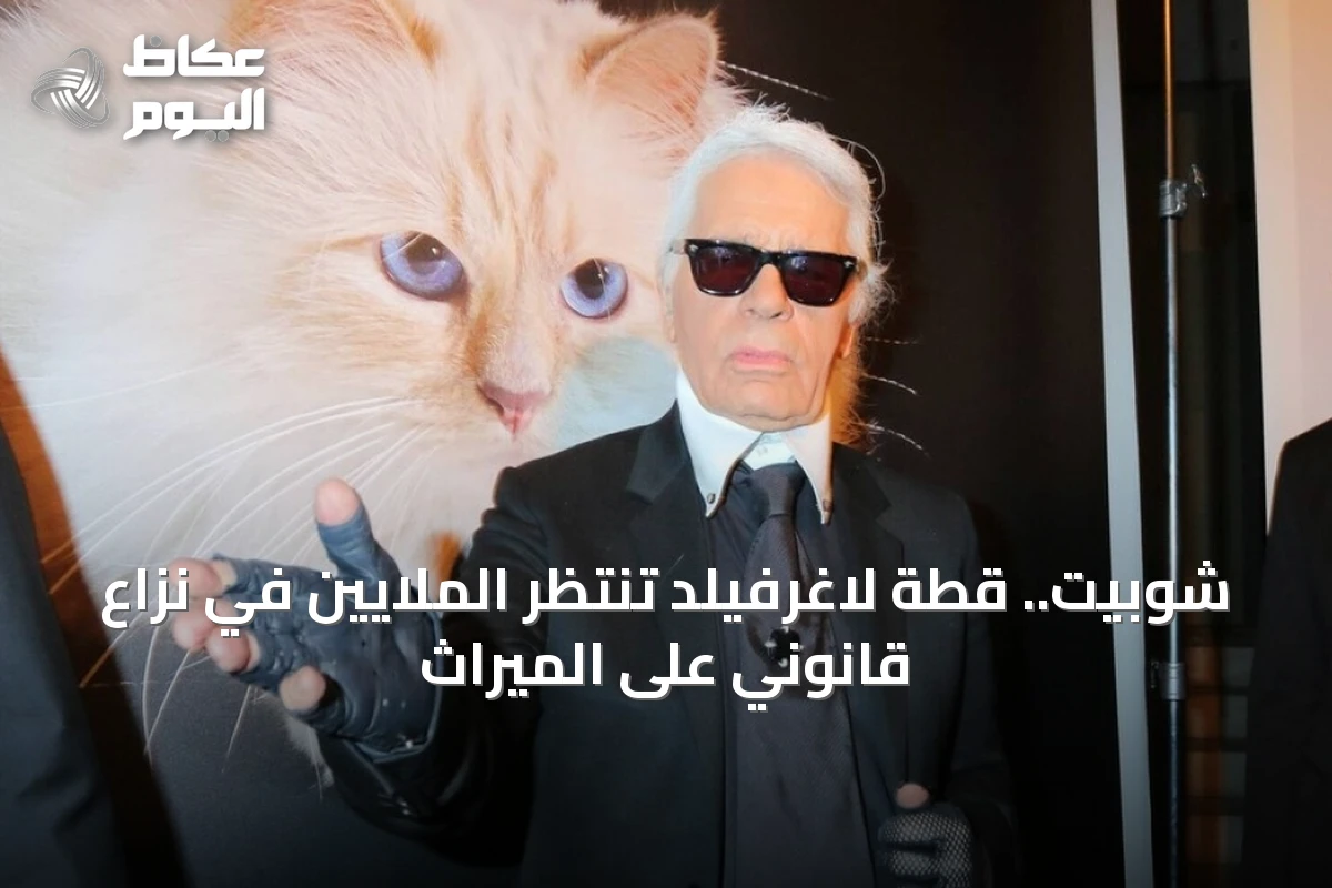 شوبيت.. قطة لاغرفيلد تنتظر الملايين في نزاع قانوني على الميراث