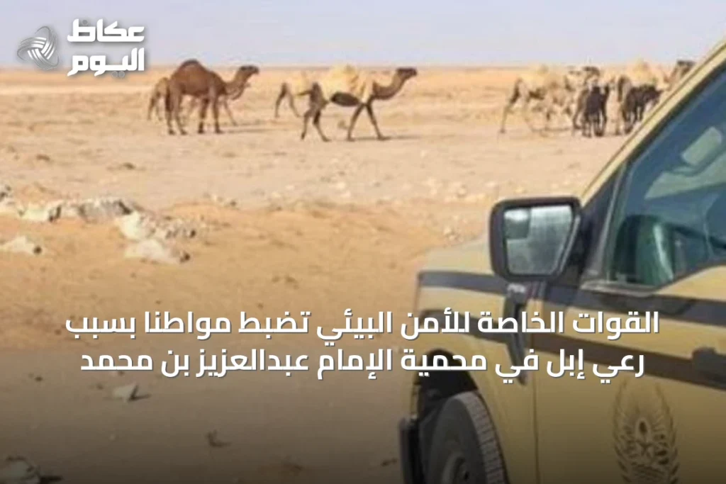 القوات الخاصة للأمن البيئي تضبط مواطنًا بسبب رعي إبل في محمية الإمام عبدالعزيز بن محمد