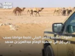 القوات الخاصة للأمن البيئي تضبط مواطنًا بسبب رعي إبل في محمية الإمام عبدالعزيز بن محمد