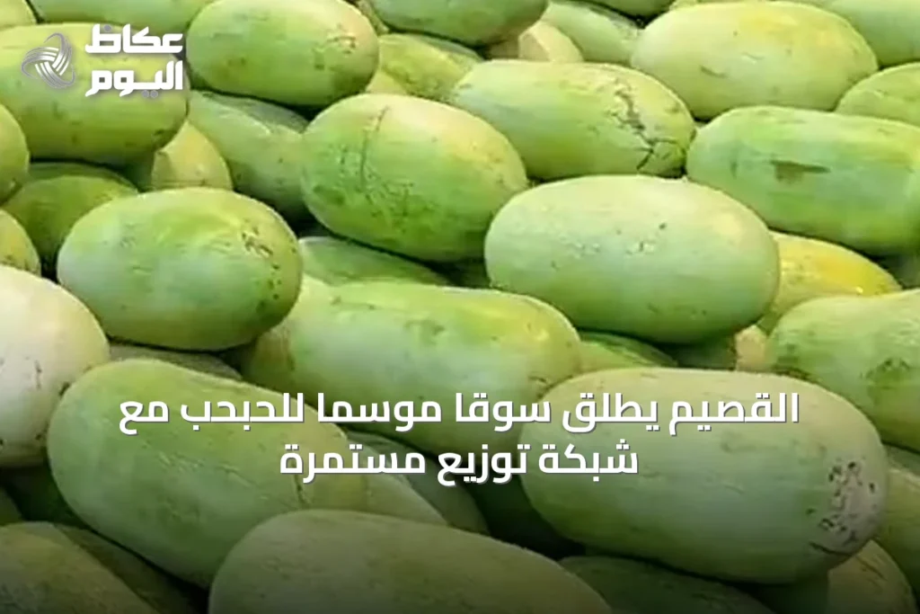 القصيم يطلق سوقاً موسماً للحبحب مع شبكة توزيع مستمرة