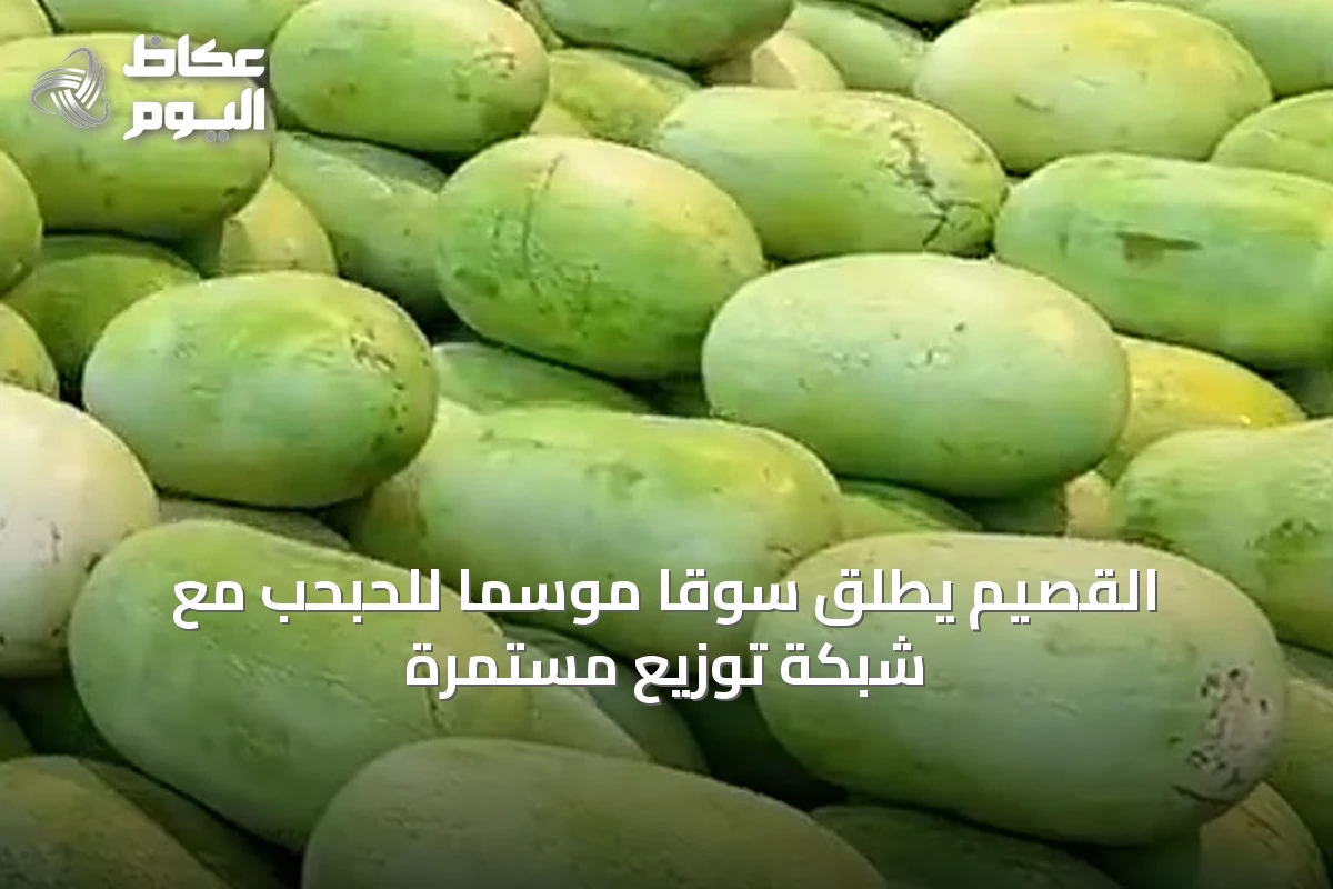 القصيم يطلق سوقاً موسماً للحبحب مع شبكة توزيع مستمرة