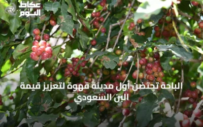 الباحة تحتضن أول مدينة قهوة لتعزيز قيمة البن السعودي