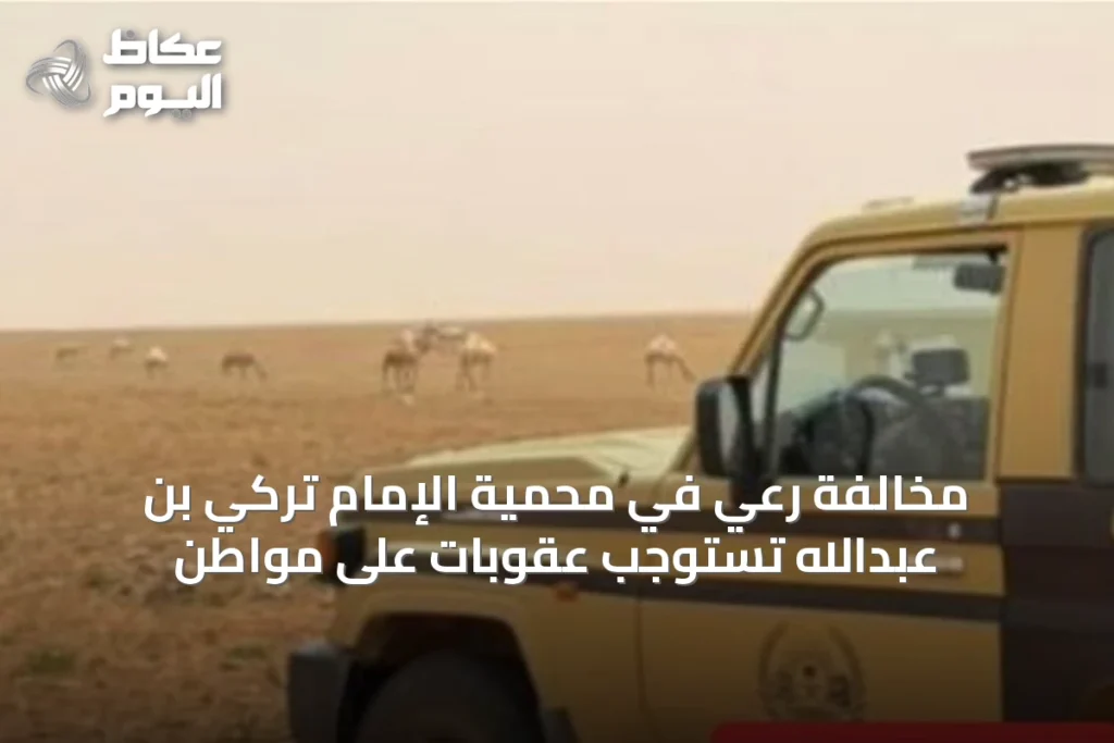 مخالفة رعي في محمية الإمام تركي بن عبدالله تستوجب عقوبات على مواطن