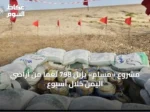مشروع «مسام» يزيل 798 لغمًا من أراضي اليمن خلال أسبوع