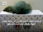 ضبط مخالفات الصيد البحري في مكة يفضح انتهاك شباك خيار البحر المحظور