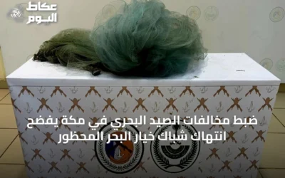 ضبط مخالفات الصيد البحري في مكة يفضح انتهاك شباك خيار البحر المحظور