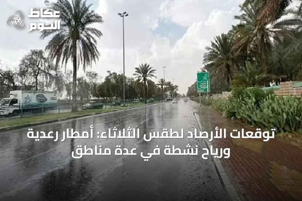 توقعات الأرصاد لطقس الثلاثاء: أمطار رعدية ورياح نشطة في عدة مناطق