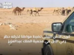 قوى الأمن البيئي تضبط مواطنًا لخرقه حظر رعي الإبل في محمية الملك عبدالعزيز