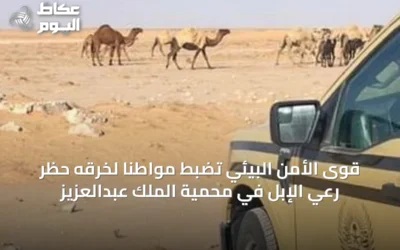 قوى الأمن البيئي تضبط مواطنًا لخرقه حظر رعي الإبل في محمية الملك عبدالعزيز