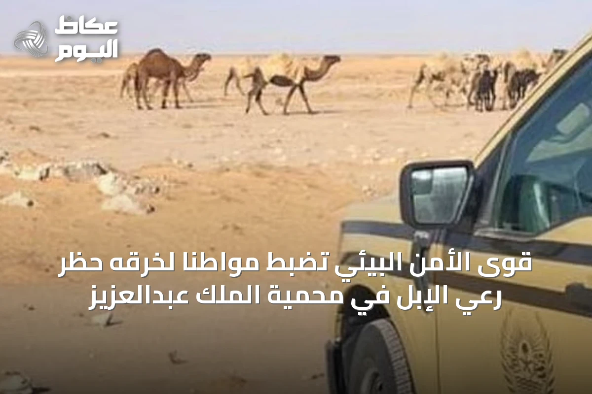 قوى الأمن البيئي تضبط مواطنًا لخرقه حظر رعي الإبل في محمية الملك عبدالعزيز