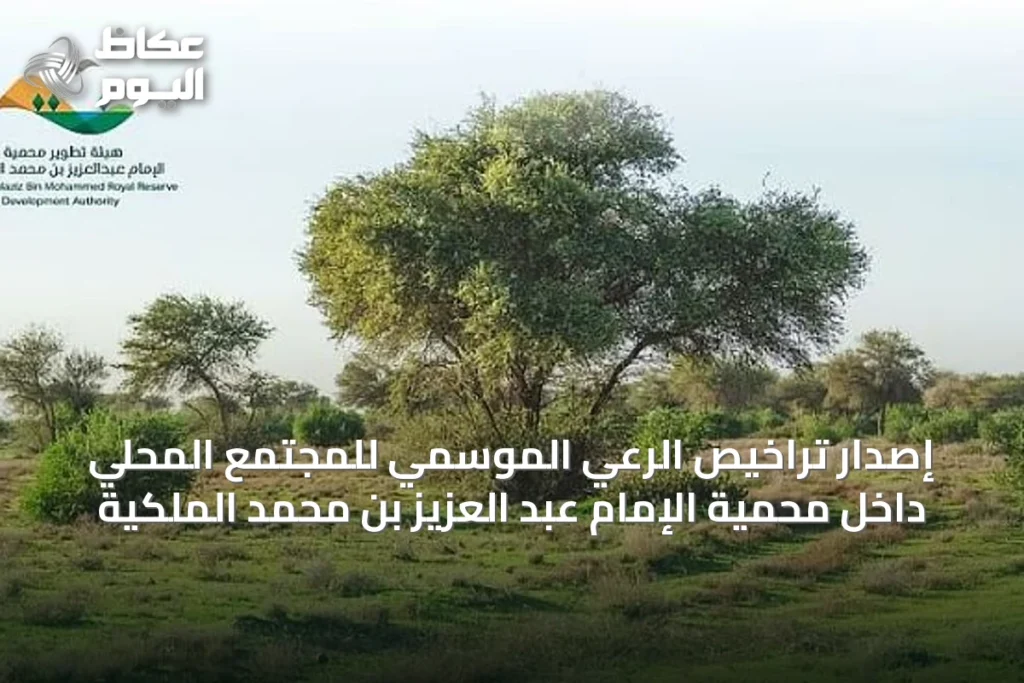 إصدار تراخيص الرعي الموسمي للمجتمع المحلي داخل محمية الإمام عبد العزيز بن محمد الملكية