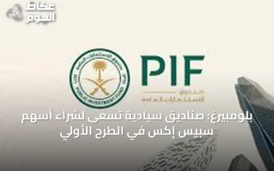 بلومبيرغ: صناديق سيادية تسعى لشراء أسهم سبيس إكس في الطرح الأولي